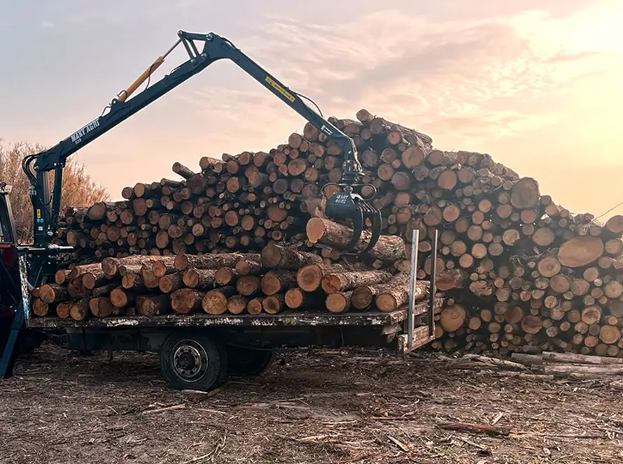 Camion de livraison transportant des bûches de bois au coucher du soleil.